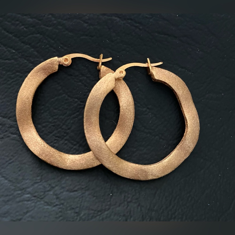 Rivka Freidman brushed satin rose gold earrings